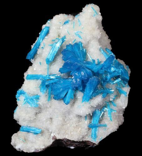 Vibrant Blue Cavansite Crystals on Stilbite - India #62873